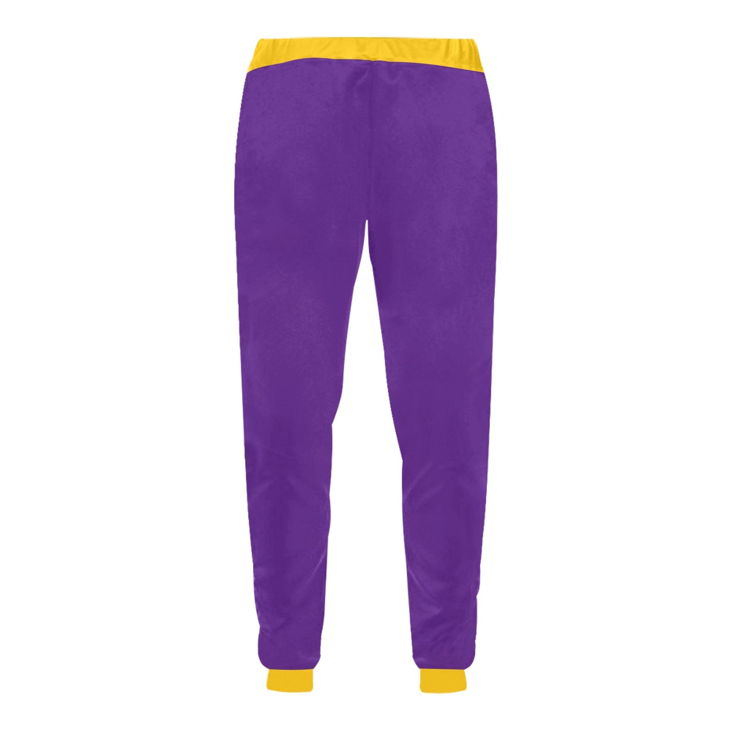 RR Vikings Joggers Purple