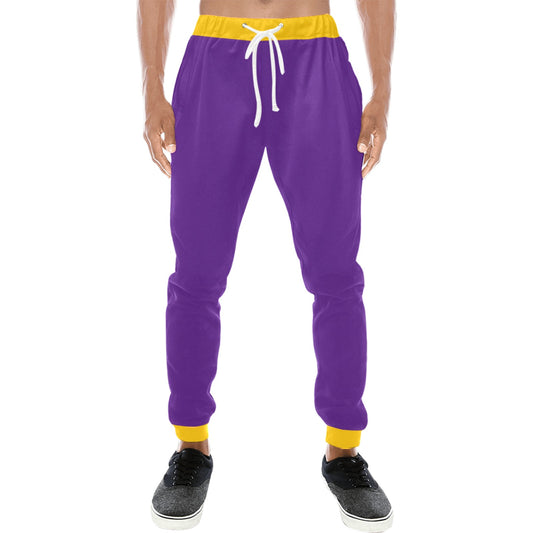 RR Vikings Joggers Purple