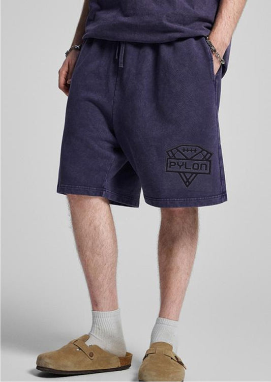 Pylon Embroidered Stonewashed Shorts Purple
