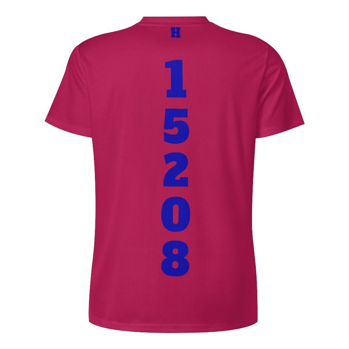 Big H Homewood Ice Silk T-shirt Pnk/Blu