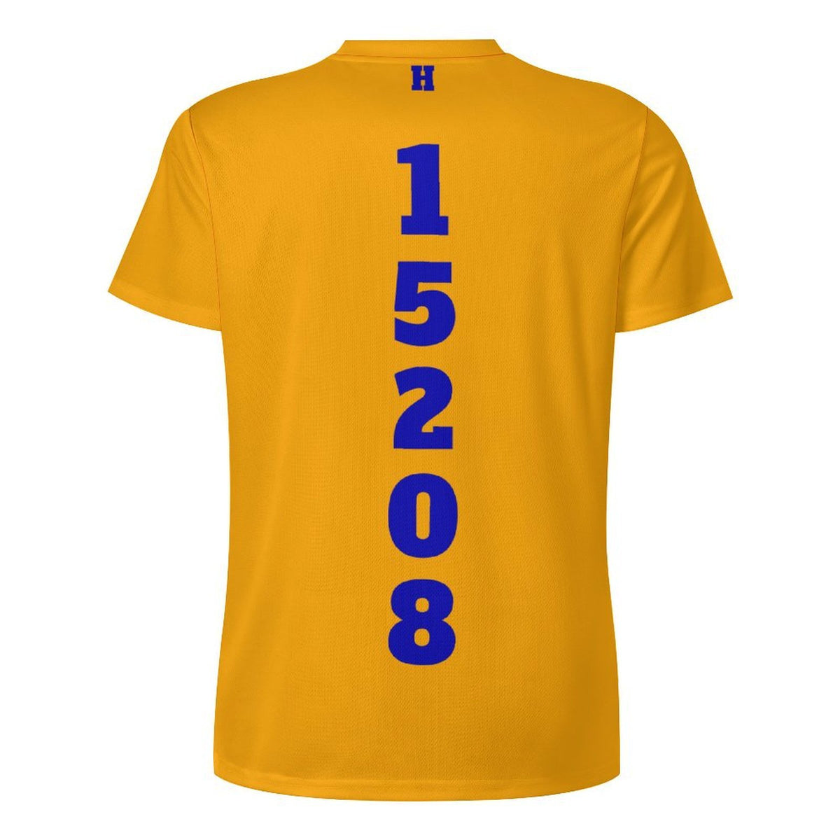 Big H Homewood Ice Silk T-shirt Gld/Blu